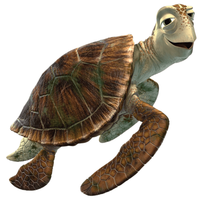 Crush — Turtle