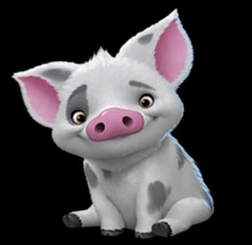 Pua — Traditional
