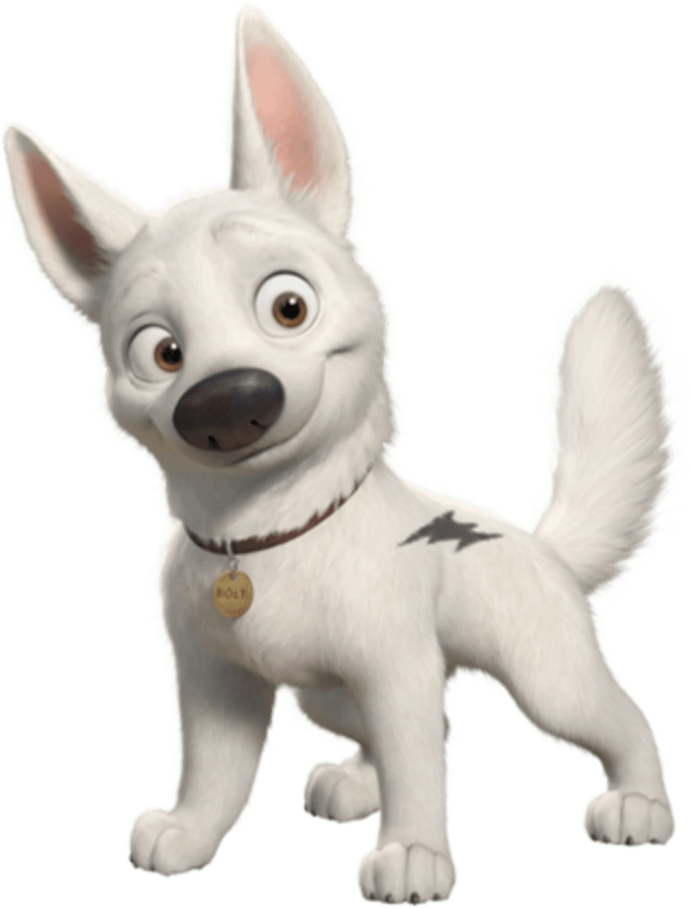 Bolt — Dog