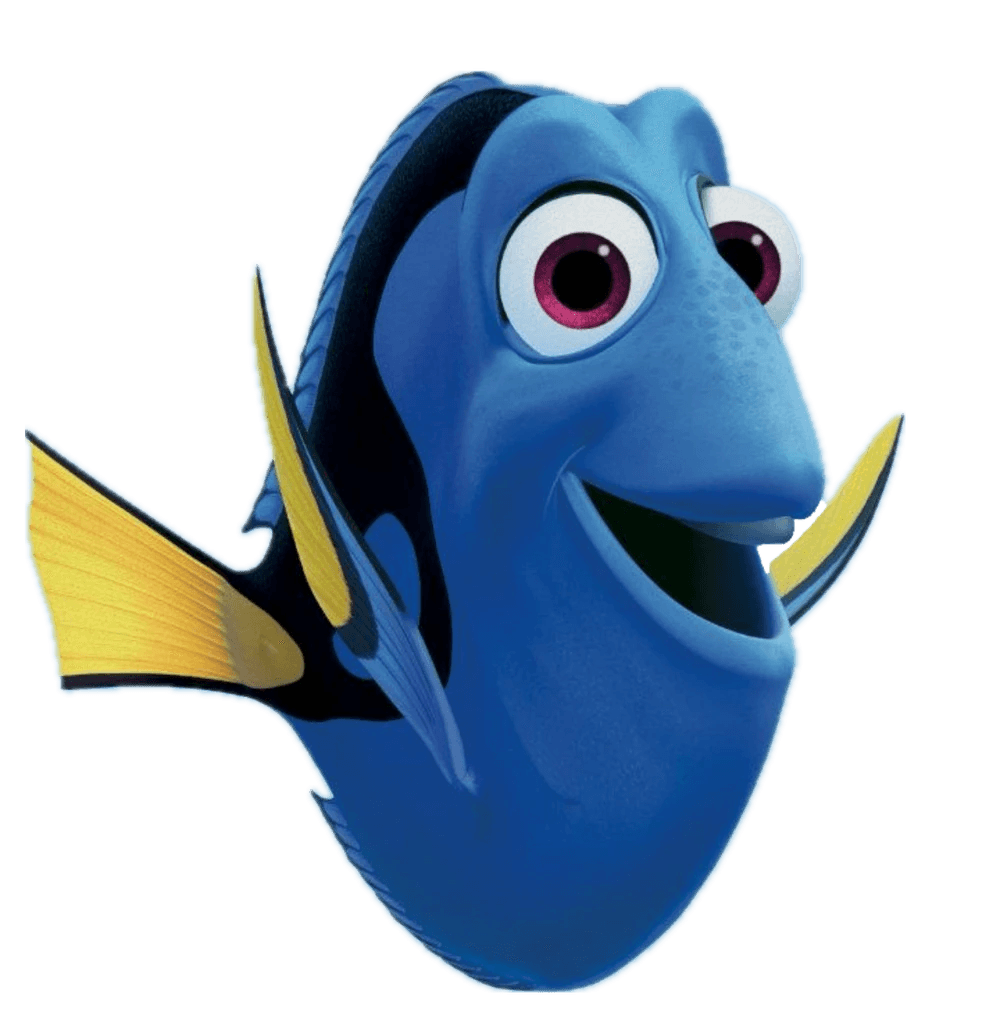 Dory — Tang