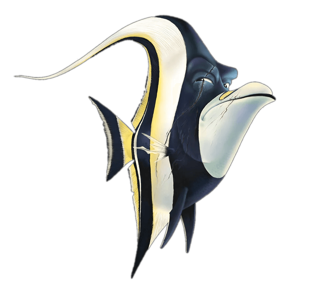Gill — Moorish Idol