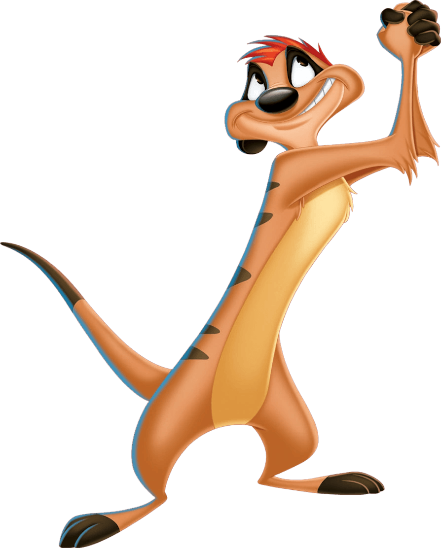 Timon — Meerkat