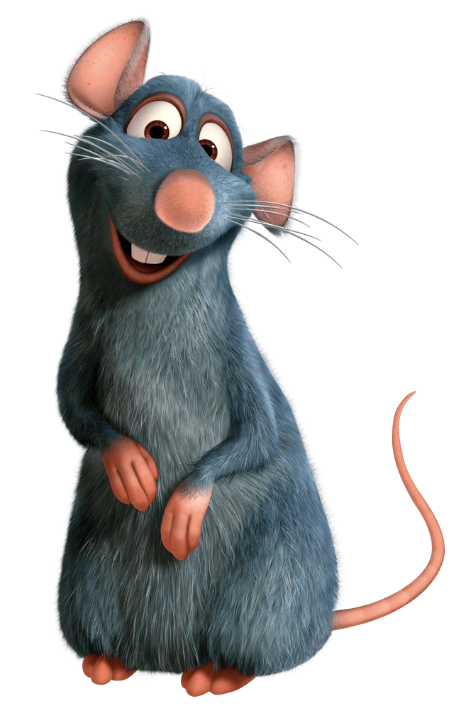 Remy — Rat